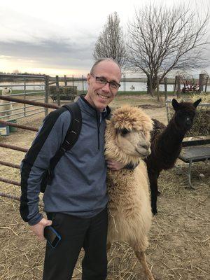 Alpacas are people too!