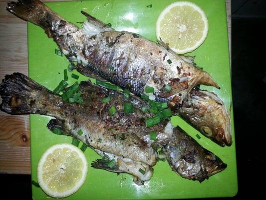 Grilled trout