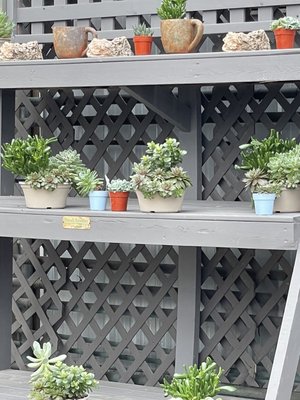 Greenhouse dining area