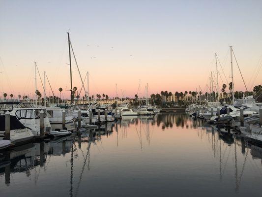 Blue Pacific Yachts