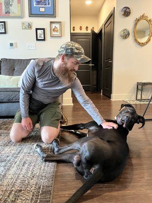 Dog trainer Austin works with Great Dane Orwell to learn how to calm himself down when he gets excited.