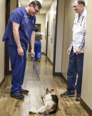 Wanting belly rubs from Justin and Dr. Kenney