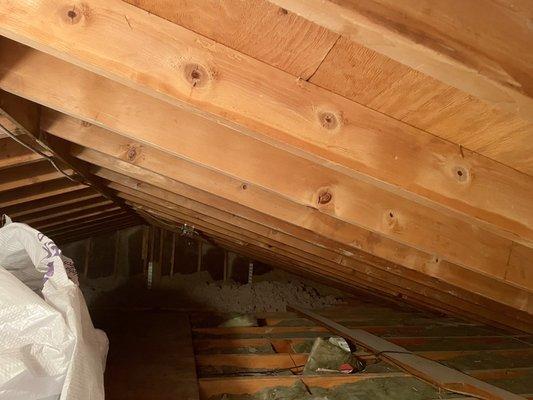 Attic Before