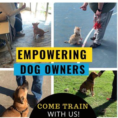 Teaching Owners how to get their dog to listen  especially around distractions is vital for any transformation to take place