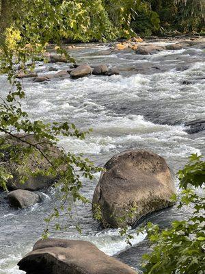 Saluda Shoals Park