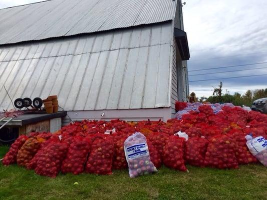 I'll take all these apples, thanks.