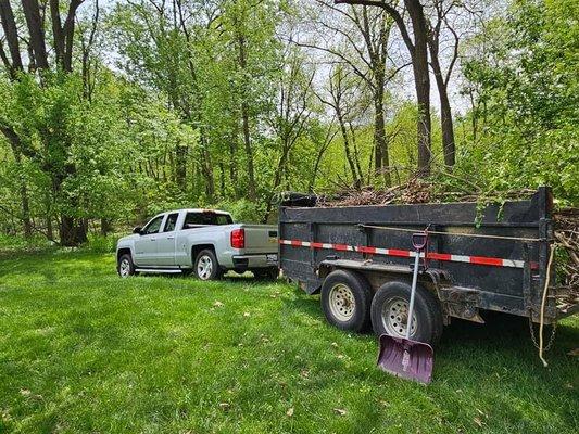 Yard waste and trimming