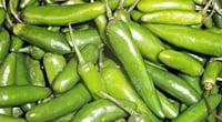 Fresh Green Chili's