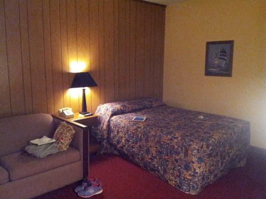 Full size bed and sleeper sofa, 1970's paneling, red indoor/outdoor carpet.