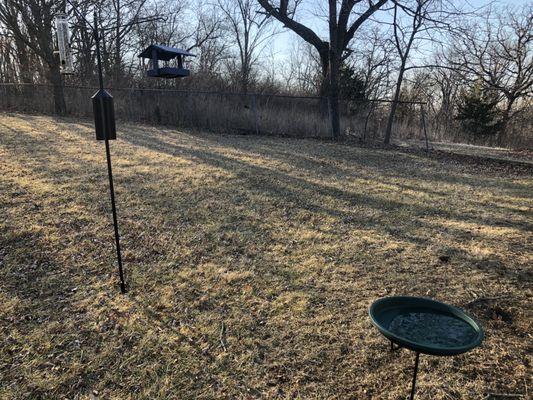 My first feeder system that I installed myself the day after I visited BBC... and bird bath!