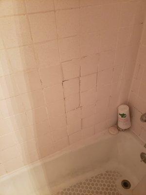 Bathroom tiles falling through the wall.