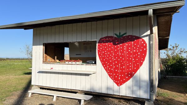 Yumm Strawberry - Elk Grove