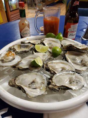 Oysters!