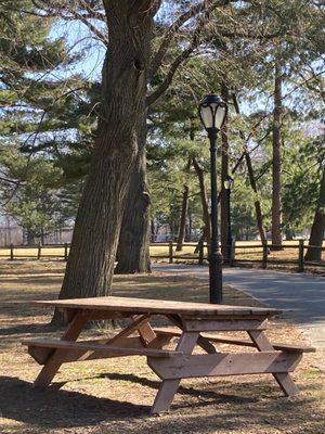 Picnic tables Posted 03/21/21