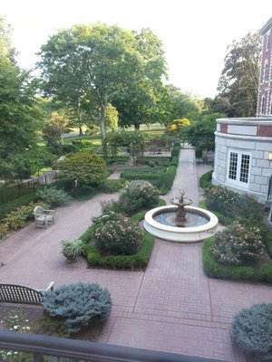 The garden