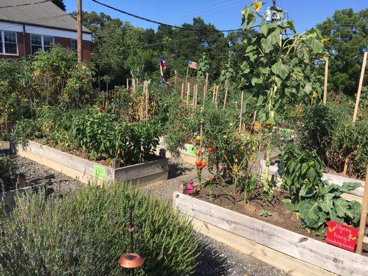 Mount Holly Community Garden