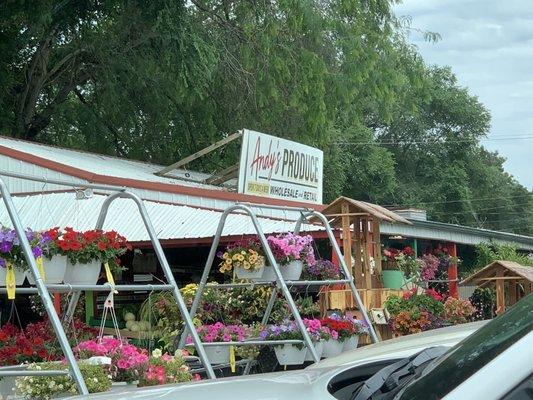 There are still a few hanging baskets left, $24.99.