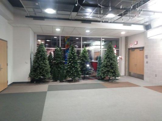 Holiday trees abound in the upstairs atrium.