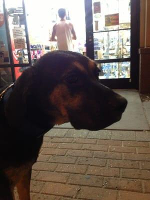 Rocky and me Loitering out side this shop.