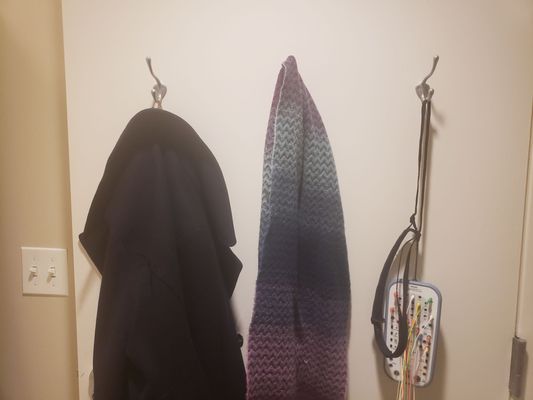 Three hooks in bathroom for coat, scarves/purses, and to hang equipment on.