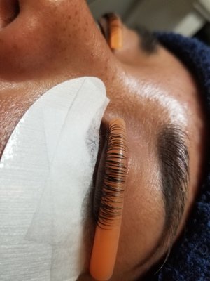 Lash Lift in Action