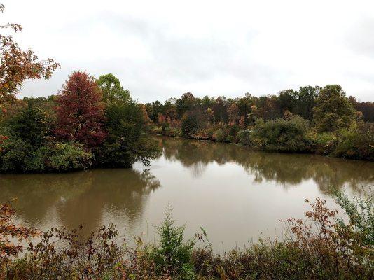 Pond at the beginning of the trail system.