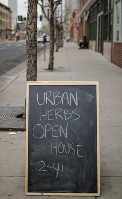 Stop on by today!  The practitioners at Urban Herbs are eager to help you with any health concerns!