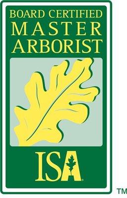 Tim Wright is our Board Certified Master Arborist on staff.