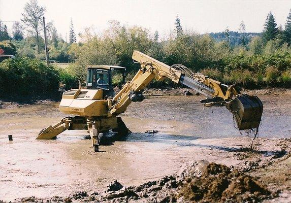 Pond Restoration