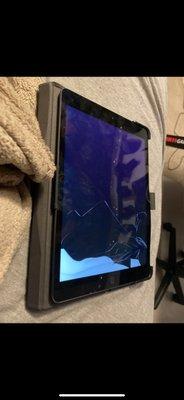 LCD failure and Frame damage, one of the worst and hardest things to break and fix