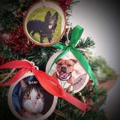 Holiday, decorations volunteers made featuring the animals waiting to be adopted!