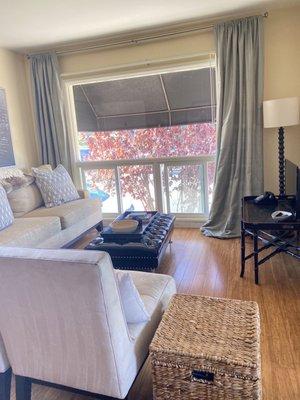 Sparkling clean living room