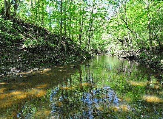 Beautiful Heinzerling ACRES Land Trust