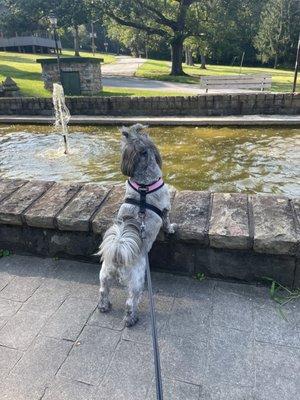 Water feature