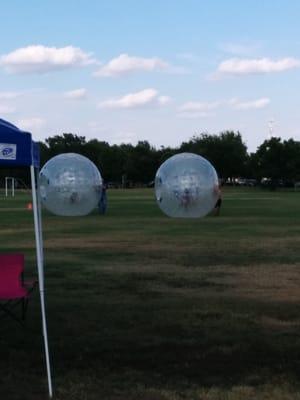 Hamster balls. $5 per person.