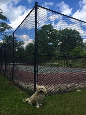 Goldsboro Park is all about tennis courts and basketball courts.