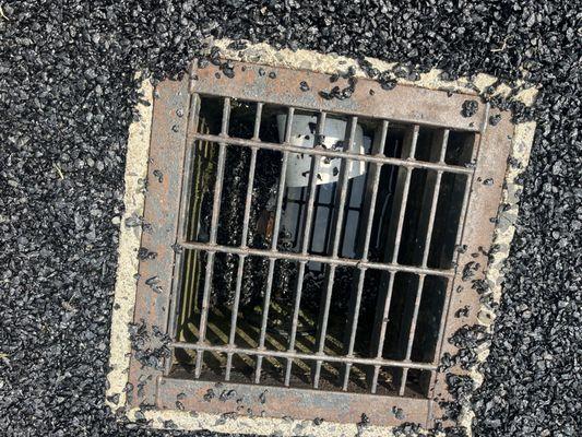 They clogged our storm drain with asphalt.