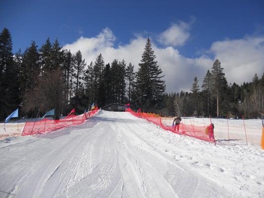 Looking up the sledding hill.