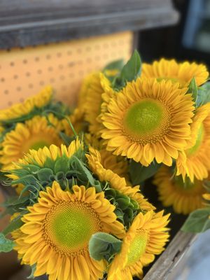 Pumpkin Patch Farm Stand