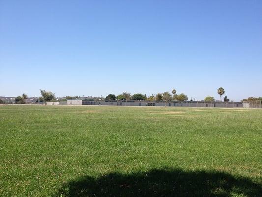 Back side if the classrooms in the Field playing with my dog.