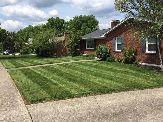 LawnCare