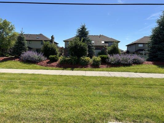 One of the many beautiful areas we manage. Just completed the Landscape Project on the Berm at a HOA in the Village of Matteson..