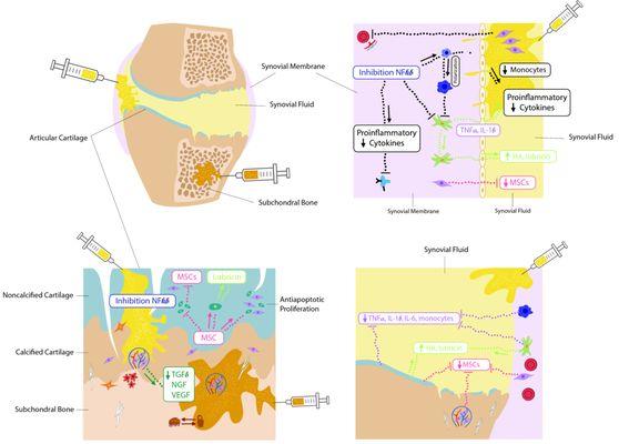 Medical vector illustrations