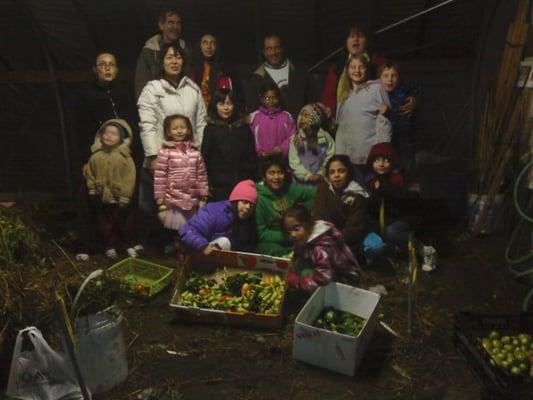 Harvest of the Hoop House