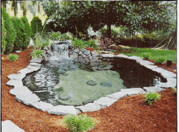 The pond