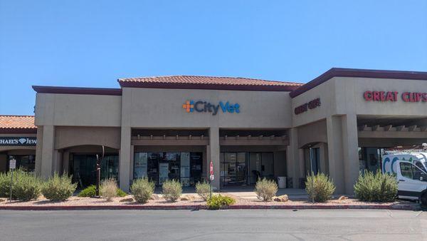 CityVet - Chandler