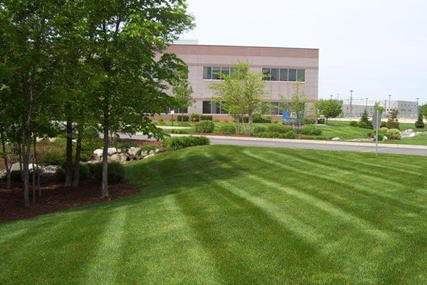 Lawn treatment Experts