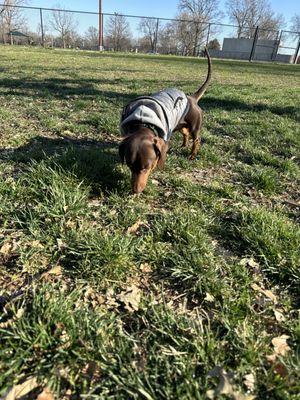 Hershel enjoying the park