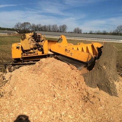 All Stump Grinding Service