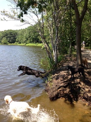 No better way to enjoy a hot day!